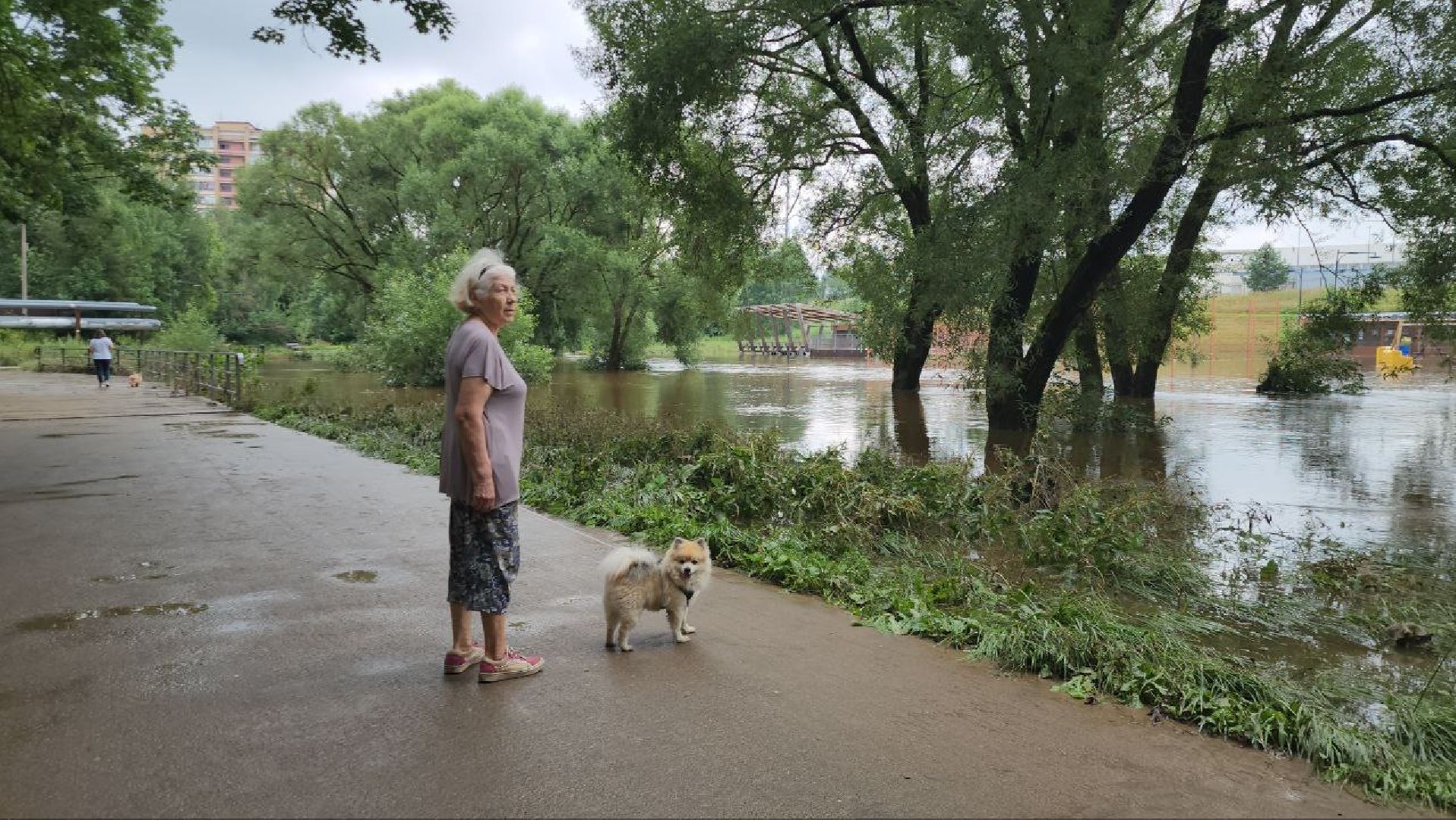 Истра, Парк, Река, Осадки ,