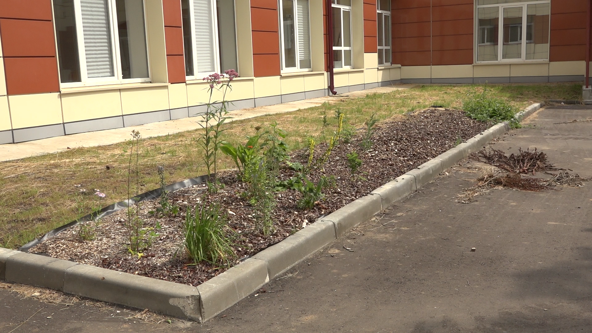 школа попова, власиха поповка, школа имени попова,  трудовые бригады, летние трудовые бригады,