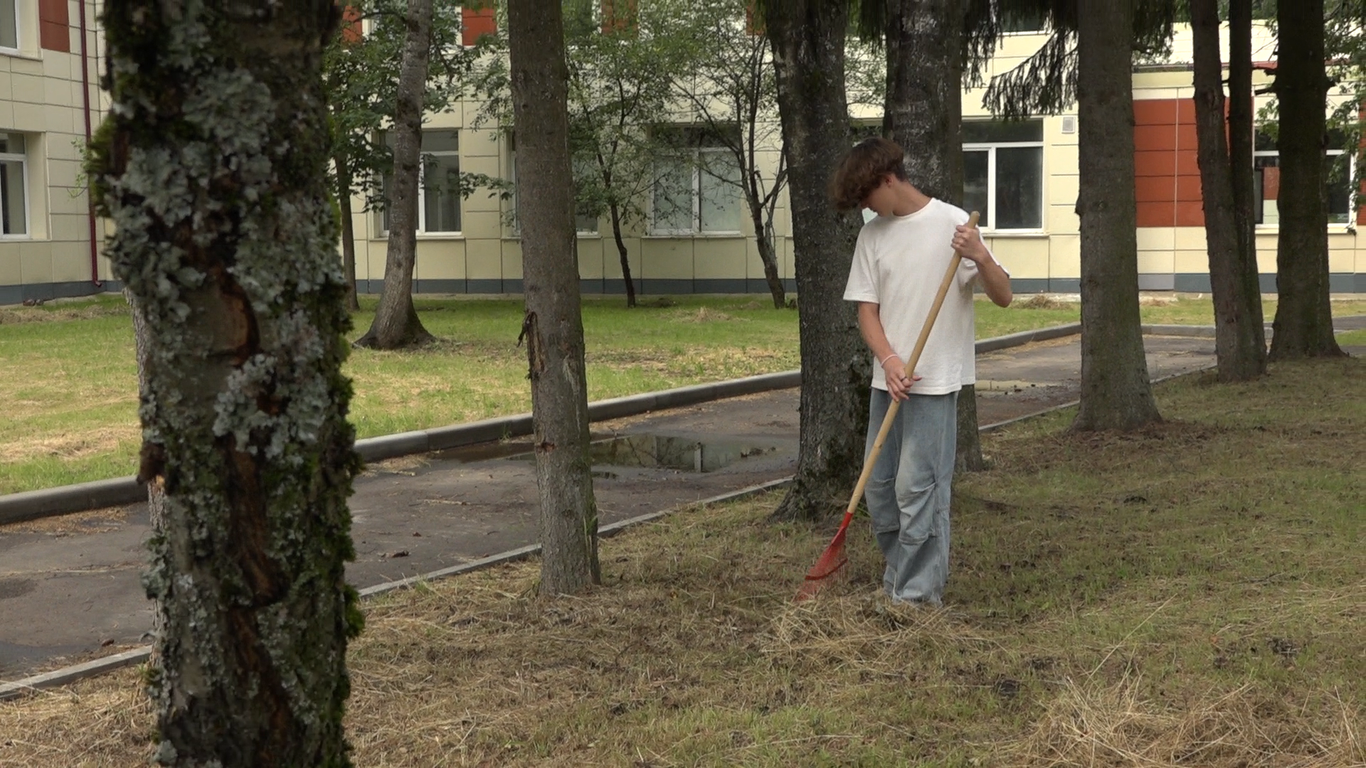 школа попова, власиха поповка, школа имени попова,  трудовые бригады, летние трудовые бригады,