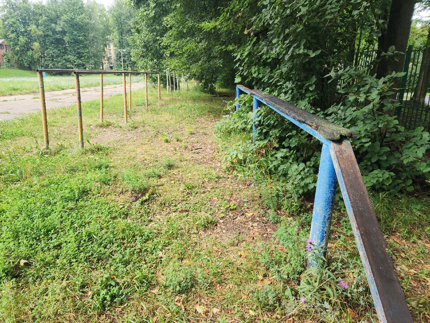 пущино, серпухов, образование,