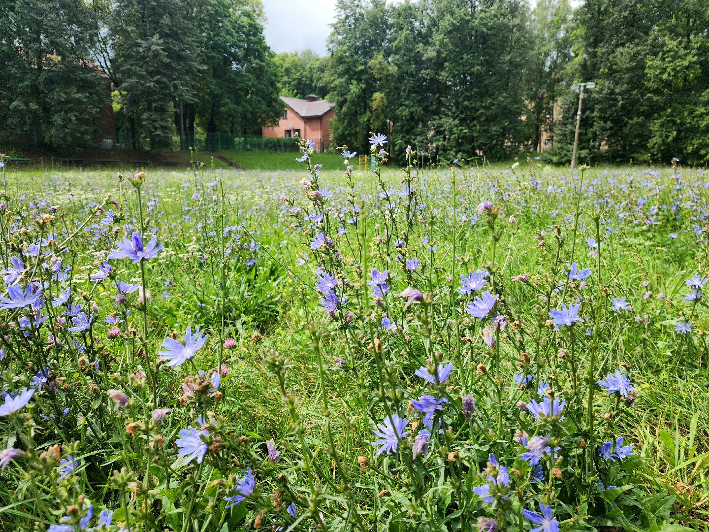 пущино, серпухов, образование,