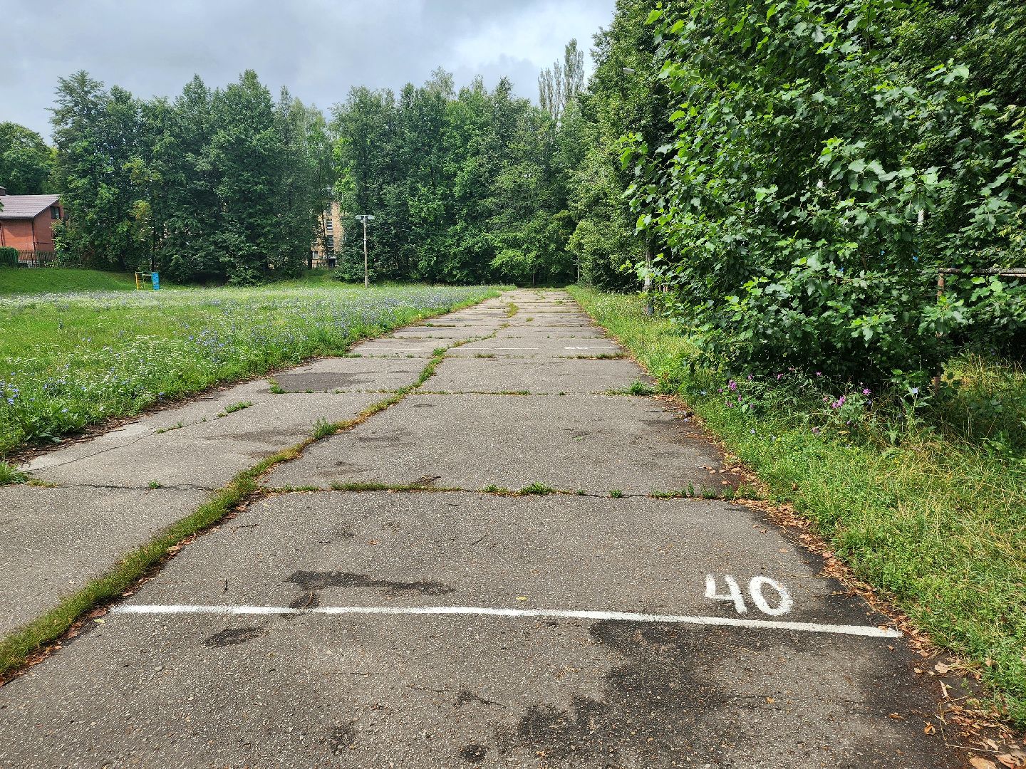 пущино, серпухов, образование,