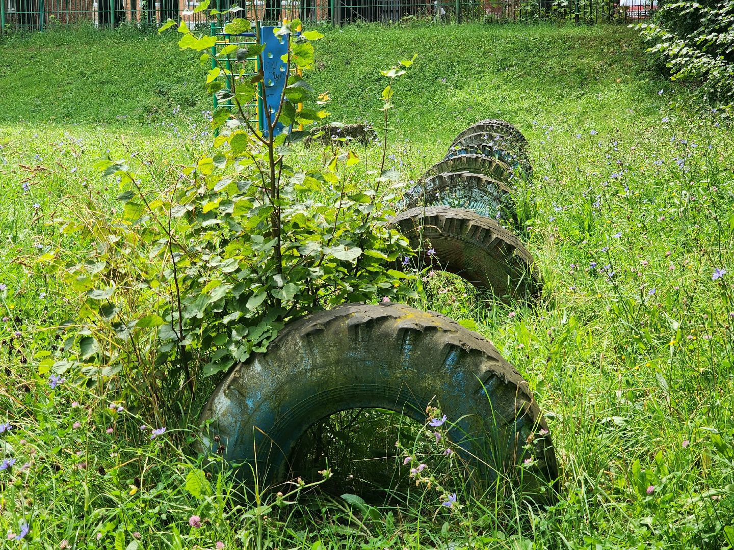 пущино, серпухов, образование,