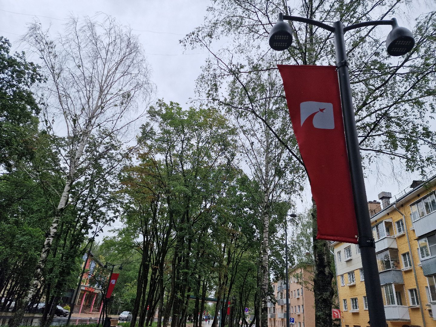 дубна, деньгорода, флаги,