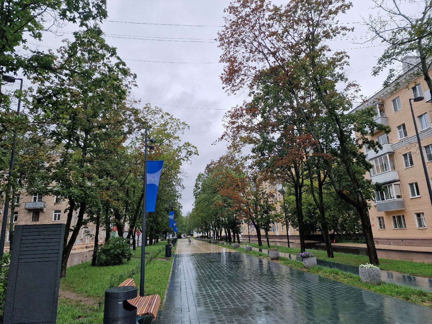 дубна, деньгорода, флаги,