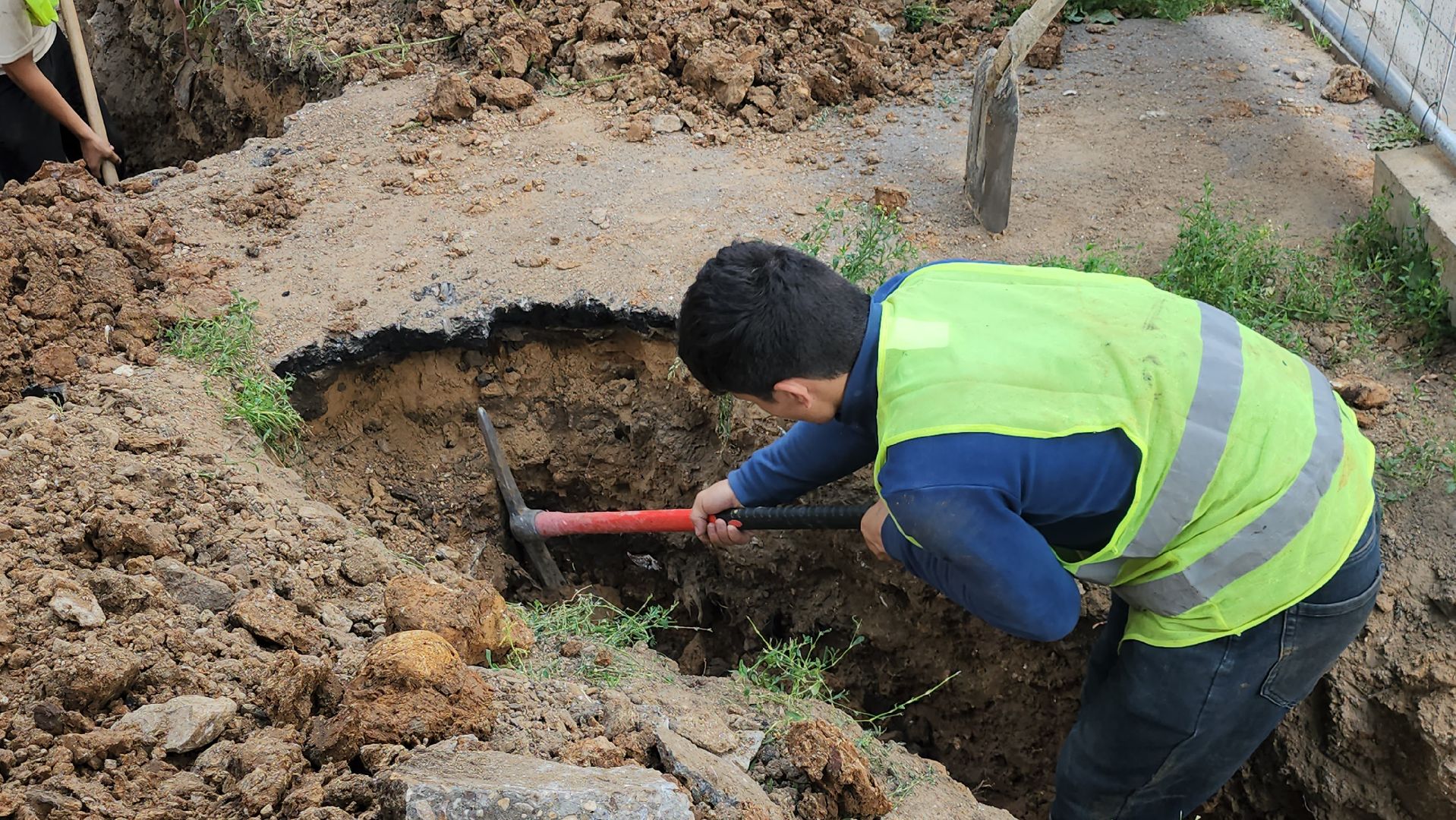 серпухов, подмосковье, капремонт парка, парк питомник,