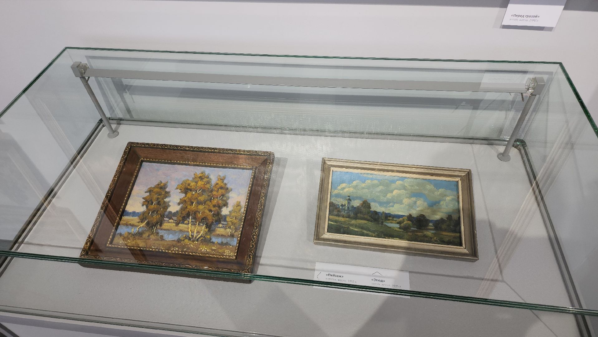 щёлково, выставка картин, 100 лет художнику, историко-художественный музей,