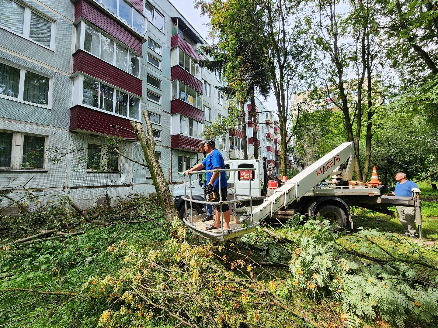 чехов,вокзальная площадь 2, опиловка деревьев, удаление аварийных деревьев, содержание придомовой территории, уборка веток, содержание двора, мбу чеховское благоустройство, заявки жителей, обращения граждан, добродел,
