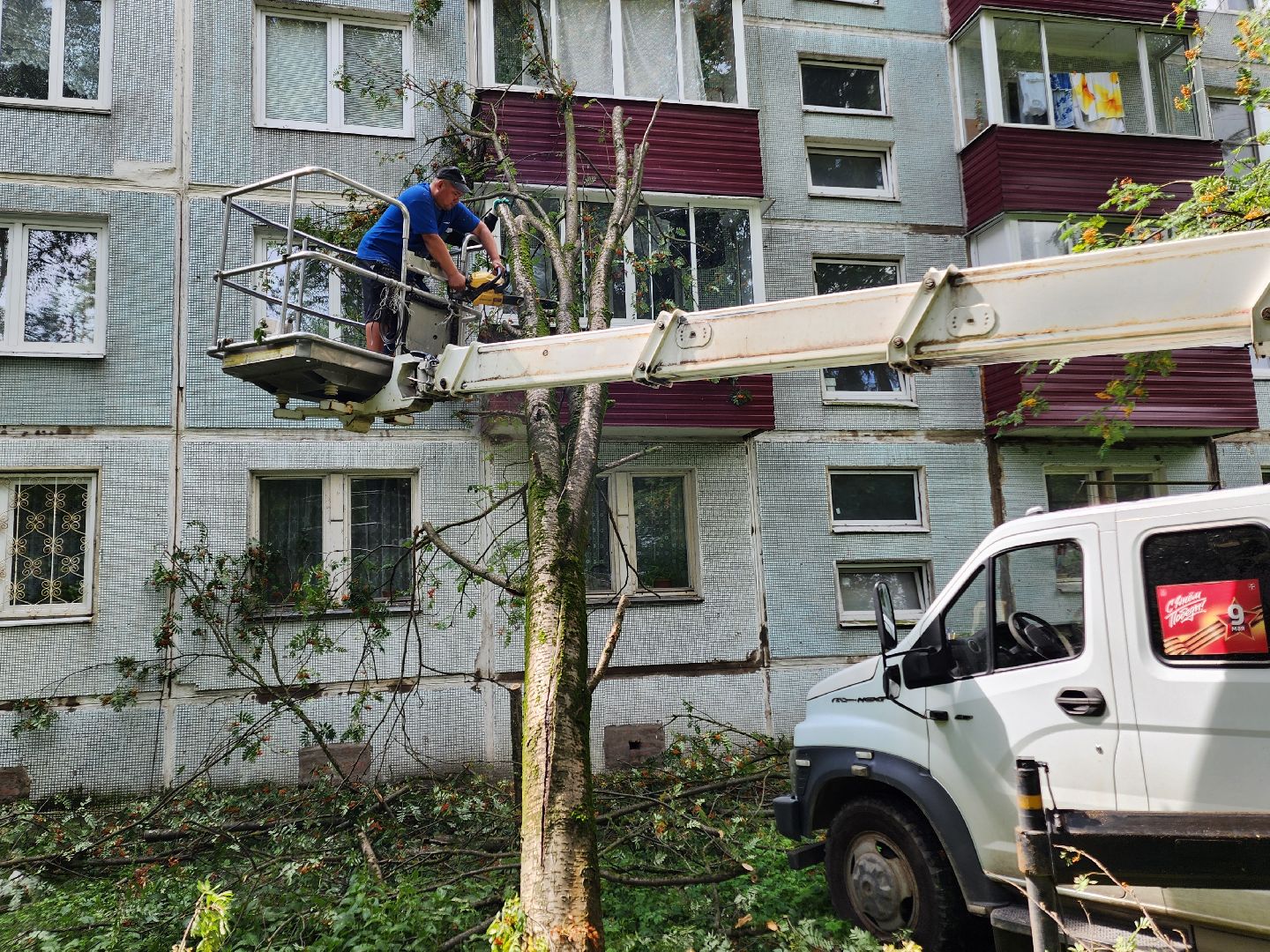 чехов,вокзальная площадь 2, опиловка деревьев, удаление аварийных деревьев, содержание придомовой территории, уборка веток, содержание двора, мбу чеховское благоустройство, заявки жителей, обращения граждан, добродел,