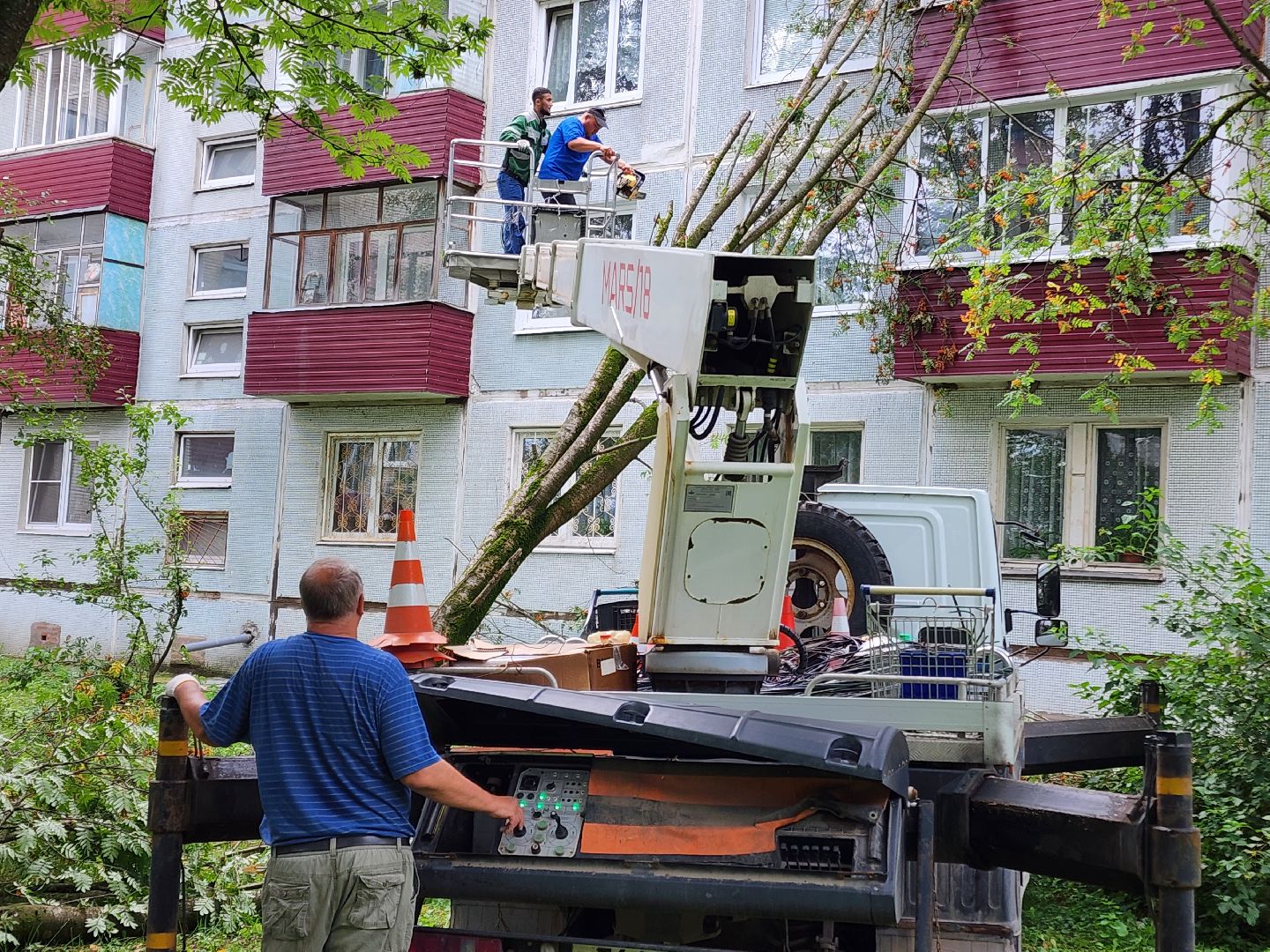 чехов,вокзальная площадь 2, опиловка деревьев, удаление аварийных деревьев, содержание придомовой территории, уборка веток, содержание двора, мбу чеховское благоустройство, заявки жителей, обращения граждан, добродел,