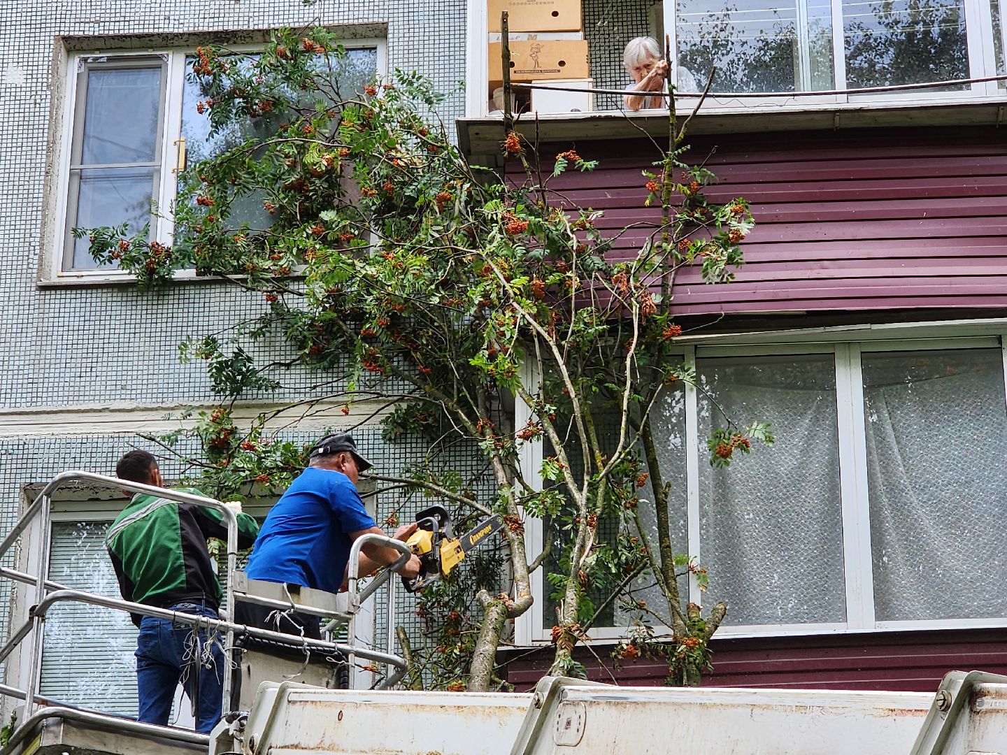 чехов,вокзальная площадь 2, опиловка деревьев, удаление аварийных деревьев, содержание придомовой территории, уборка веток, содержание двора, мбу чеховское благоустройство, заявки жителей, обращения граждан, добродел,