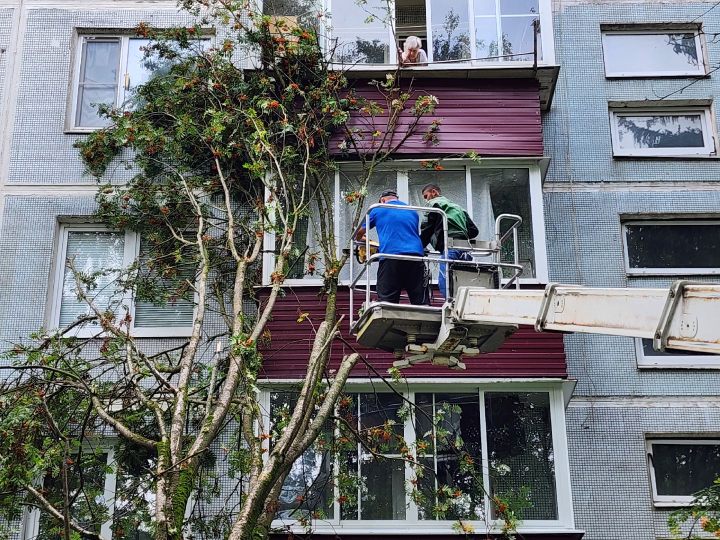 чехов,вокзальная площадь 2, опиловка деревьев, удаление аварийных деревьев, содержание придомовой территории, уборка веток, содержание двора, мбу чеховское благоустройство, заявки жителей, обращения граждан, добродел,