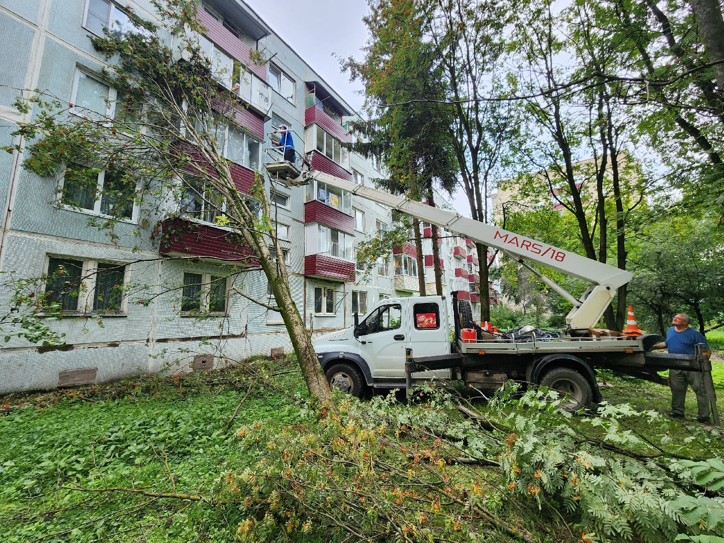 чехов,вокзальная площадь 2, опиловка деревьев, удаление аварийных деревьев, содержание придомовой территории, уборка веток, содержание двора, мбу чеховское благоустройство, заявки жителей, обращения граждан, добродел,