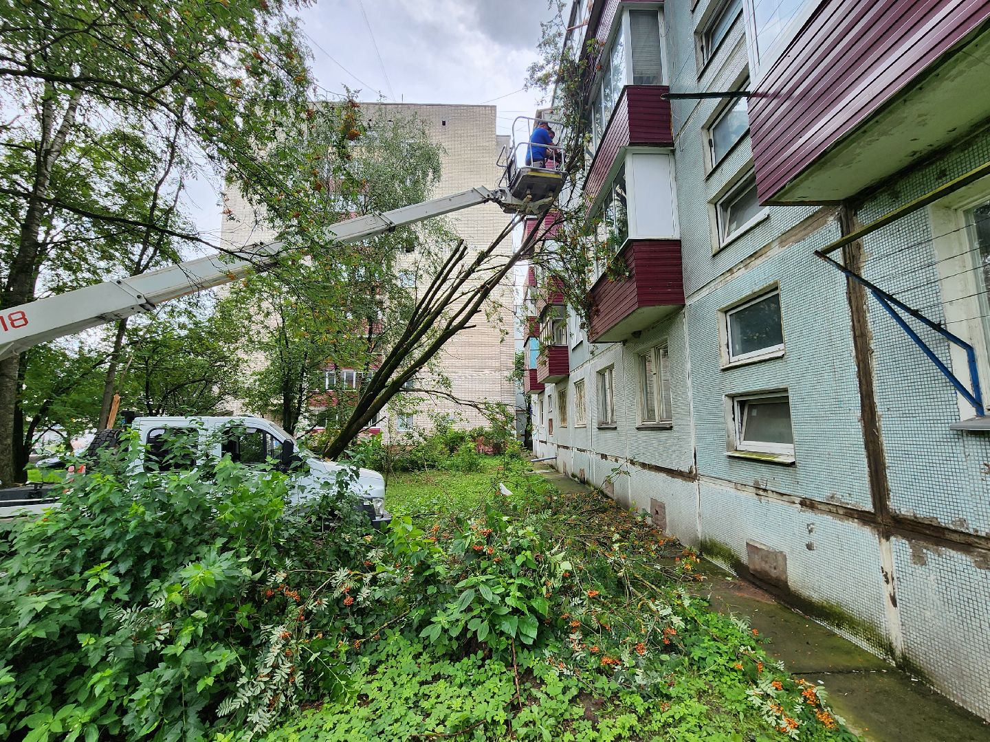чехов,вокзальная площадь 2, опиловка деревьев, удаление аварийных деревьев, содержание придомовой территории, уборка веток, содержание двора, мбу чеховское благоустройство, заявки жителей, обращения граждан, добродел,