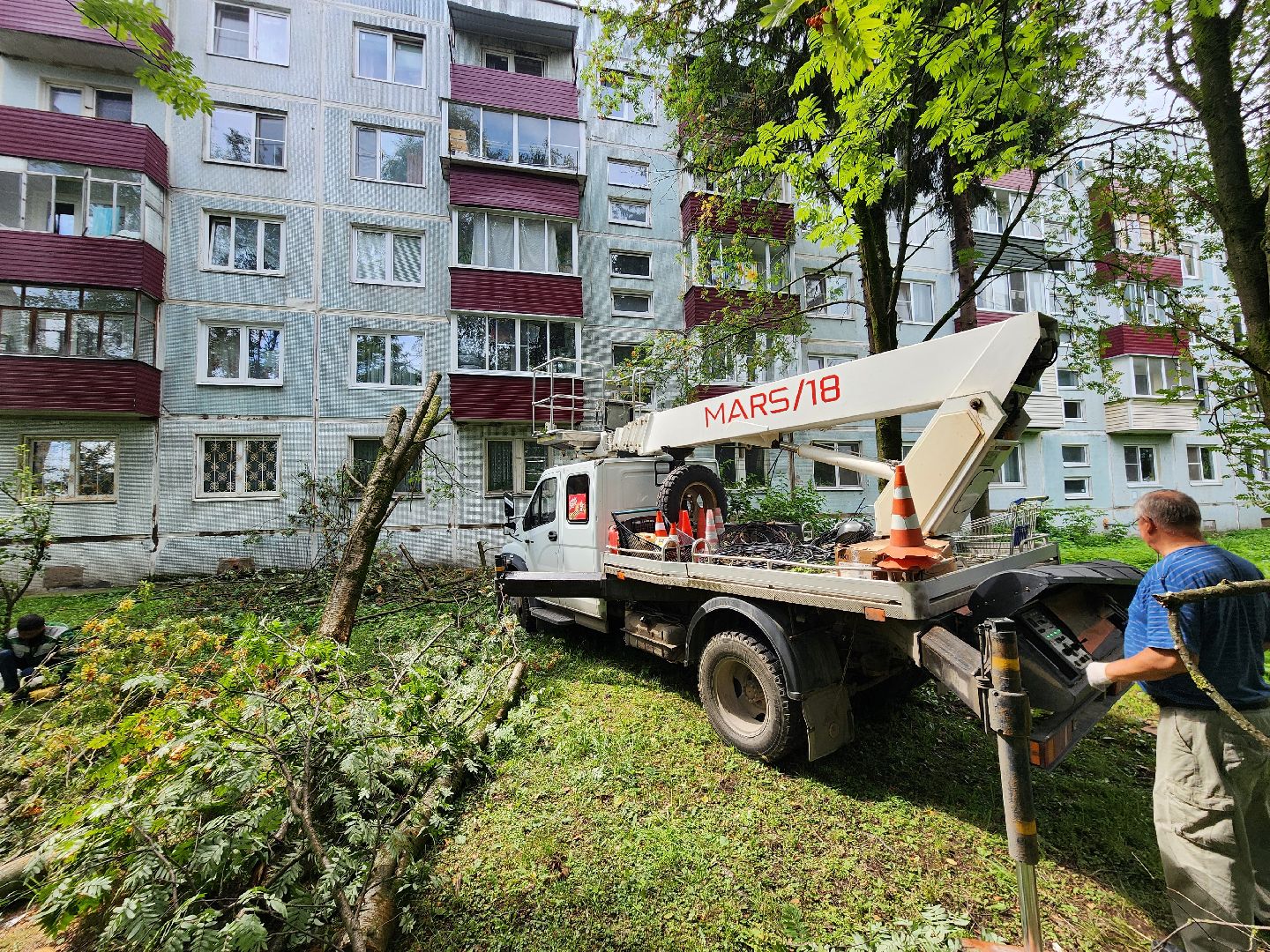 чехов,вокзальная площадь 2, опиловка деревьев, удаление аварийных деревьев, содержание придомовой территории, уборка веток, содержание двора, мбу чеховское благоустройство, заявки жителей, обращения граждан, добродел,