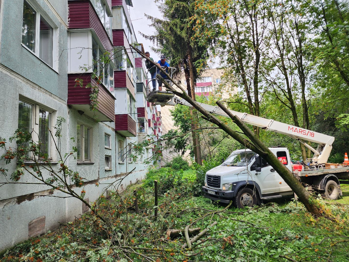 чехов,вокзальная площадь 2, опиловка деревьев, удаление аварийных деревьев, содержание придомовой территории, уборка веток, содержание двора, мбу чеховское благоустройство, заявки жителей, обращения граждан, добродел,