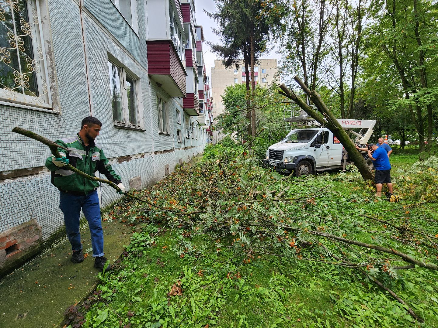 чехов,вокзальная площадь 2, опиловка деревьев, удаление аварийных деревьев, содержание придомовой территории, уборка веток, содержание двора, мбу чеховское благоустройство, заявки жителей, обращения граждан, добродел,