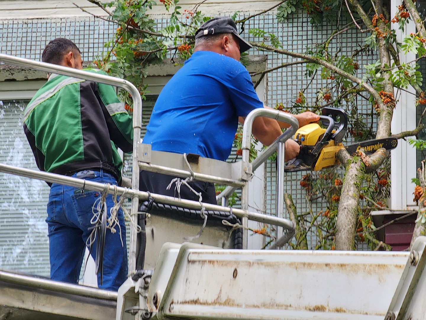 чехов,вокзальная площадь 2, опиловка деревьев, удаление аварийных деревьев, содержание придомовой территории, уборка веток, содержание двора, мбу чеховское благоустройство, заявки жителей, обращения граждан, добродел,