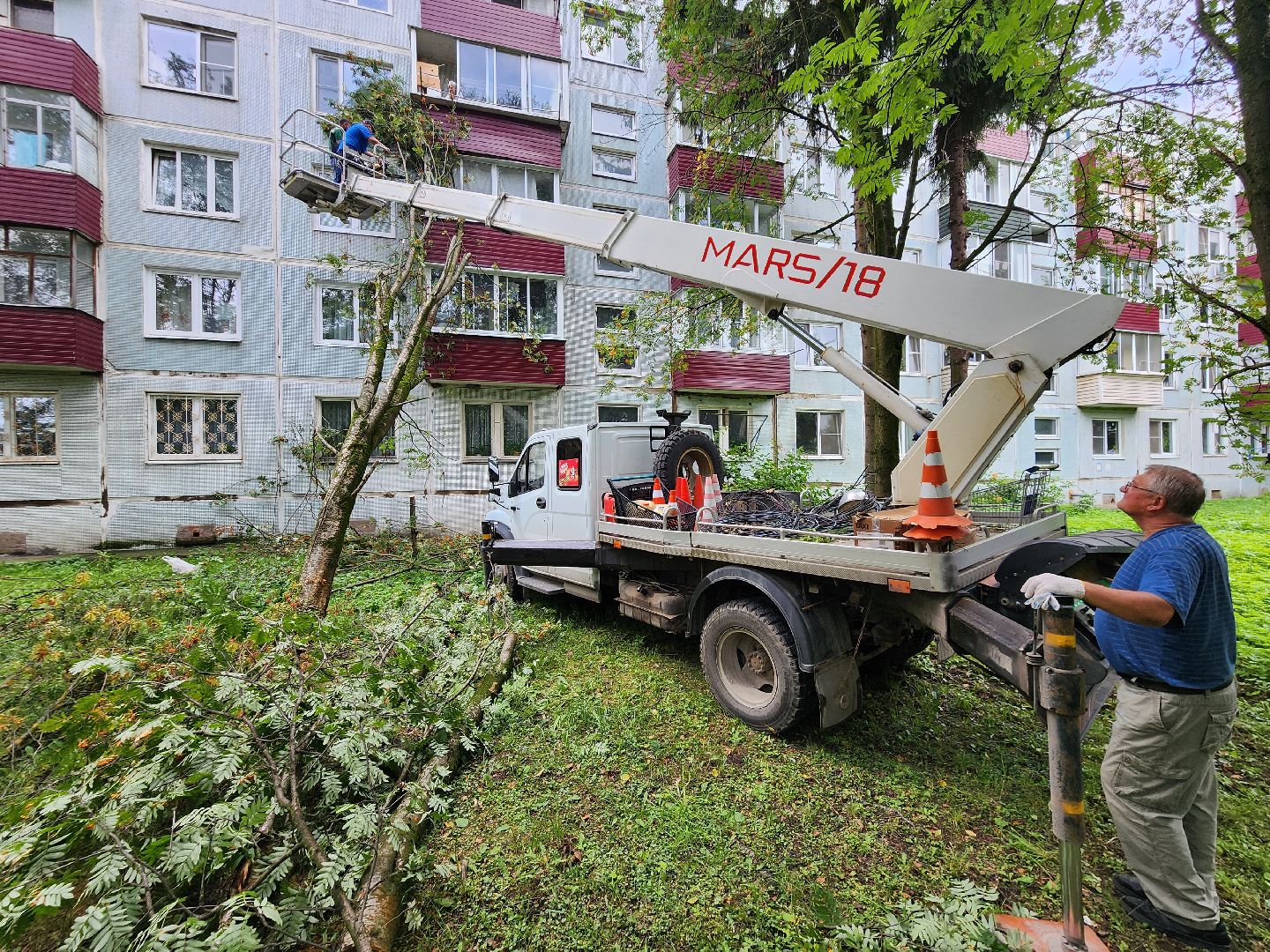 чехов,вокзальная площадь 2, опиловка деревьев, удаление аварийных деревьев, содержание придомовой территории, уборка веток, содержание двора, мбу чеховское благоустройство, заявки жителей, обращения граждан, добродел,