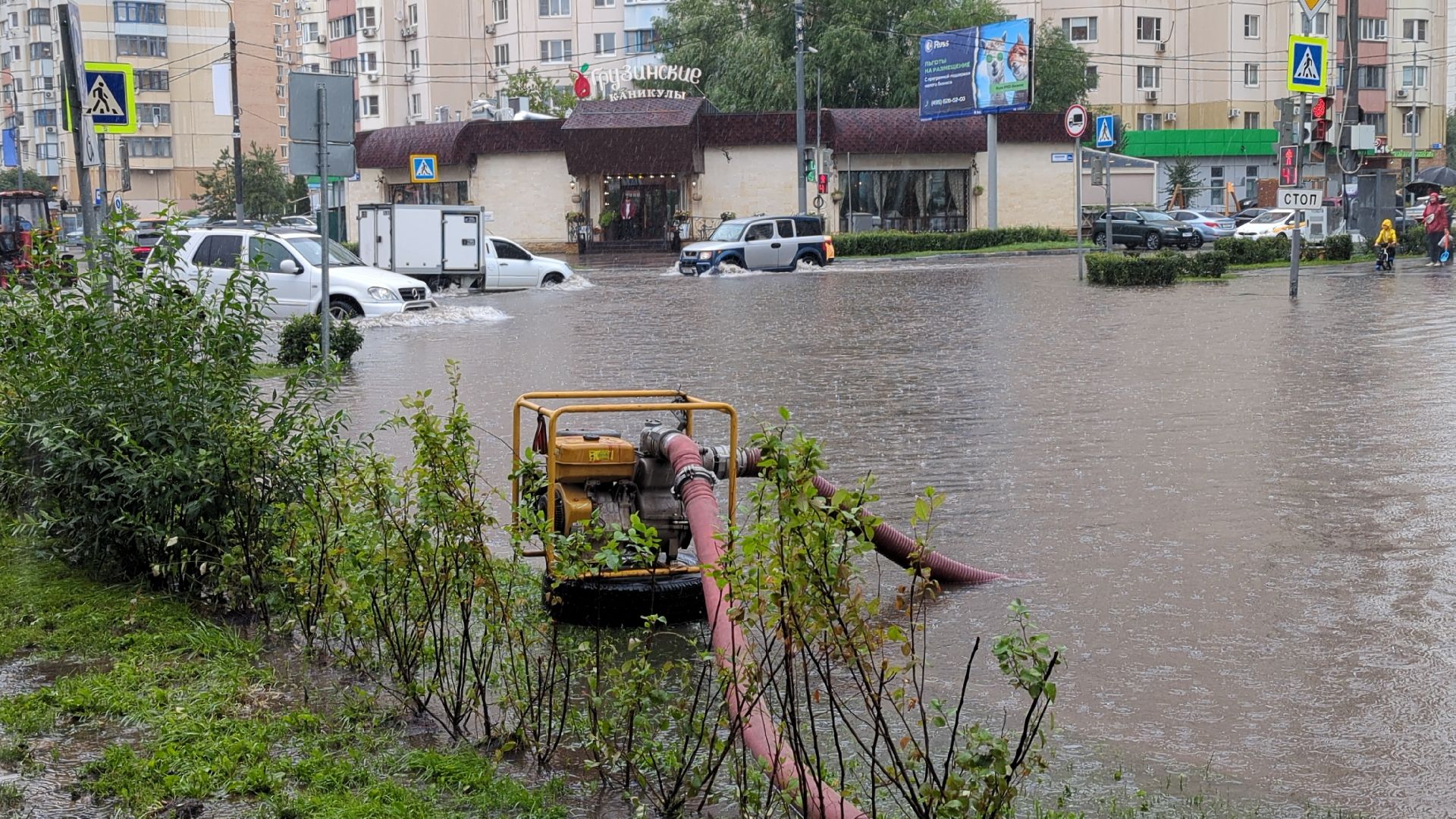 чп, красногорск, наводнение, павшинская пойма,