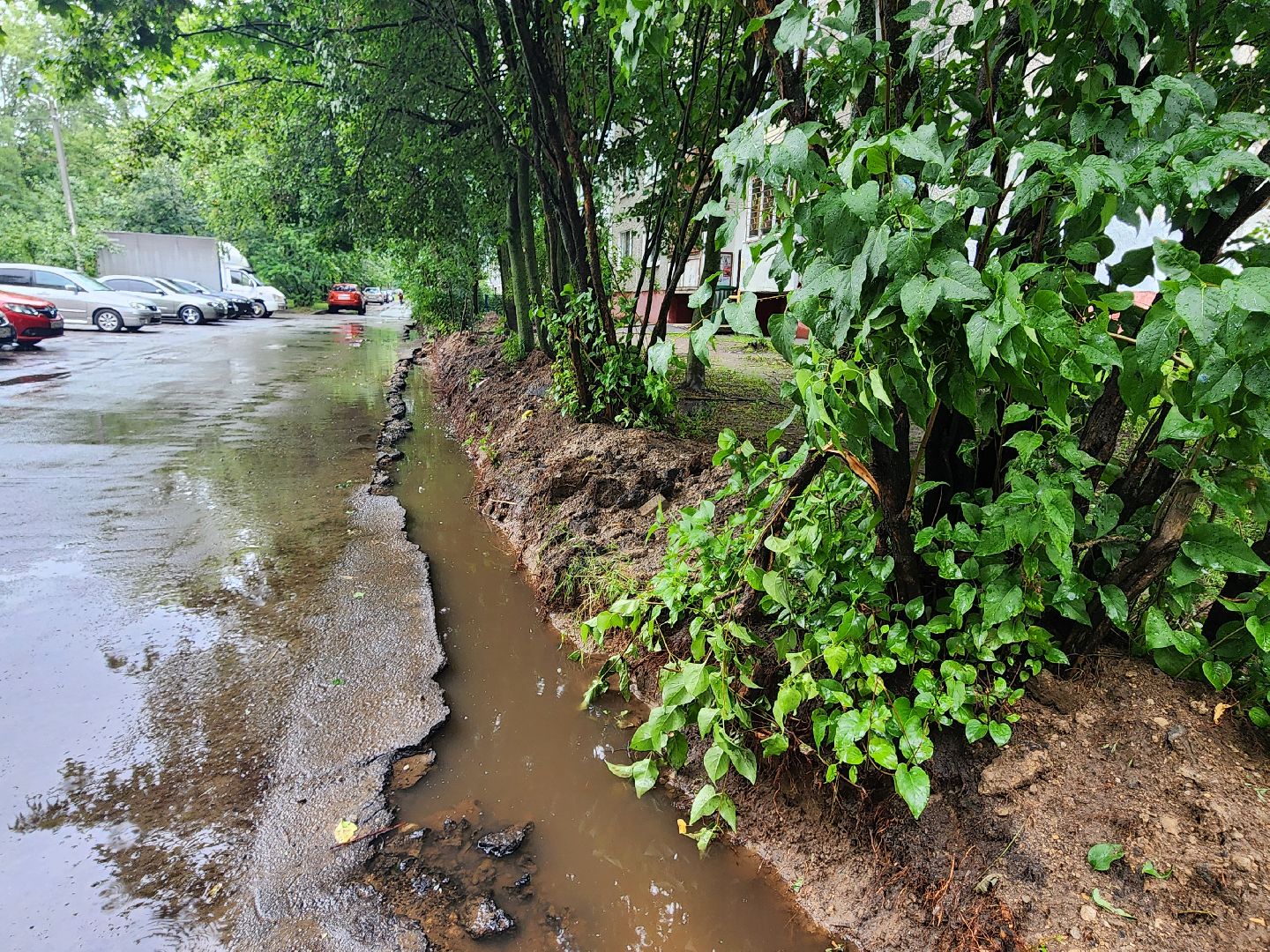 фрязино, укладка бордюров, благоустройство дворов,