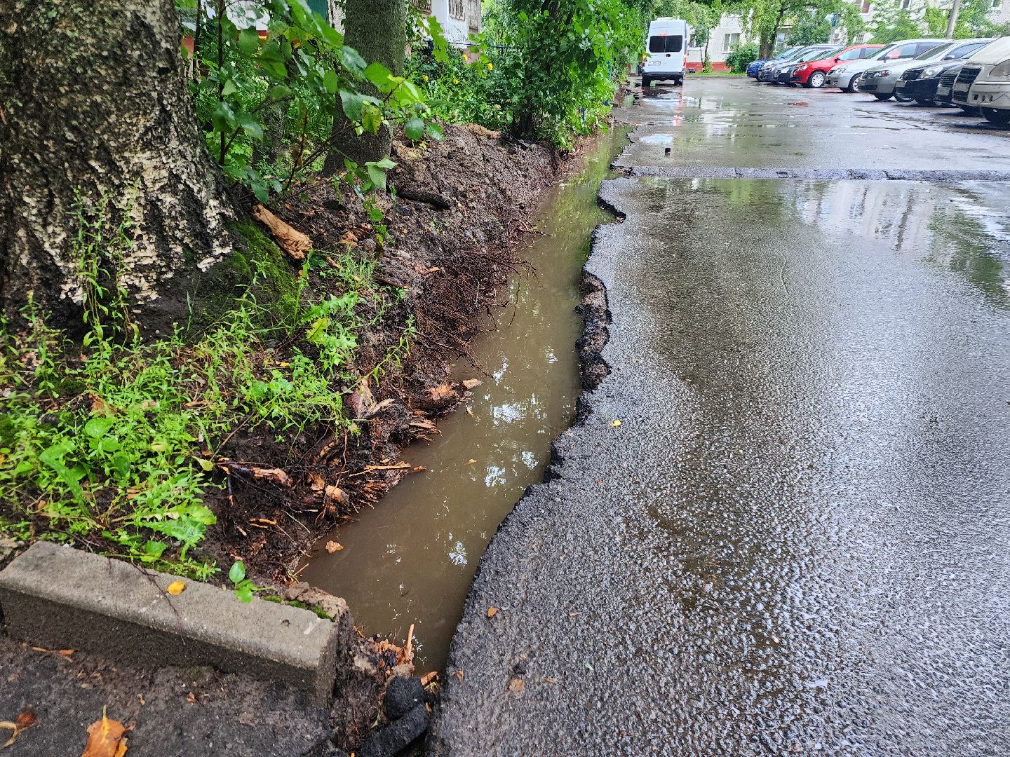 фрязино, укладка бордюров, благоустройство дворов,