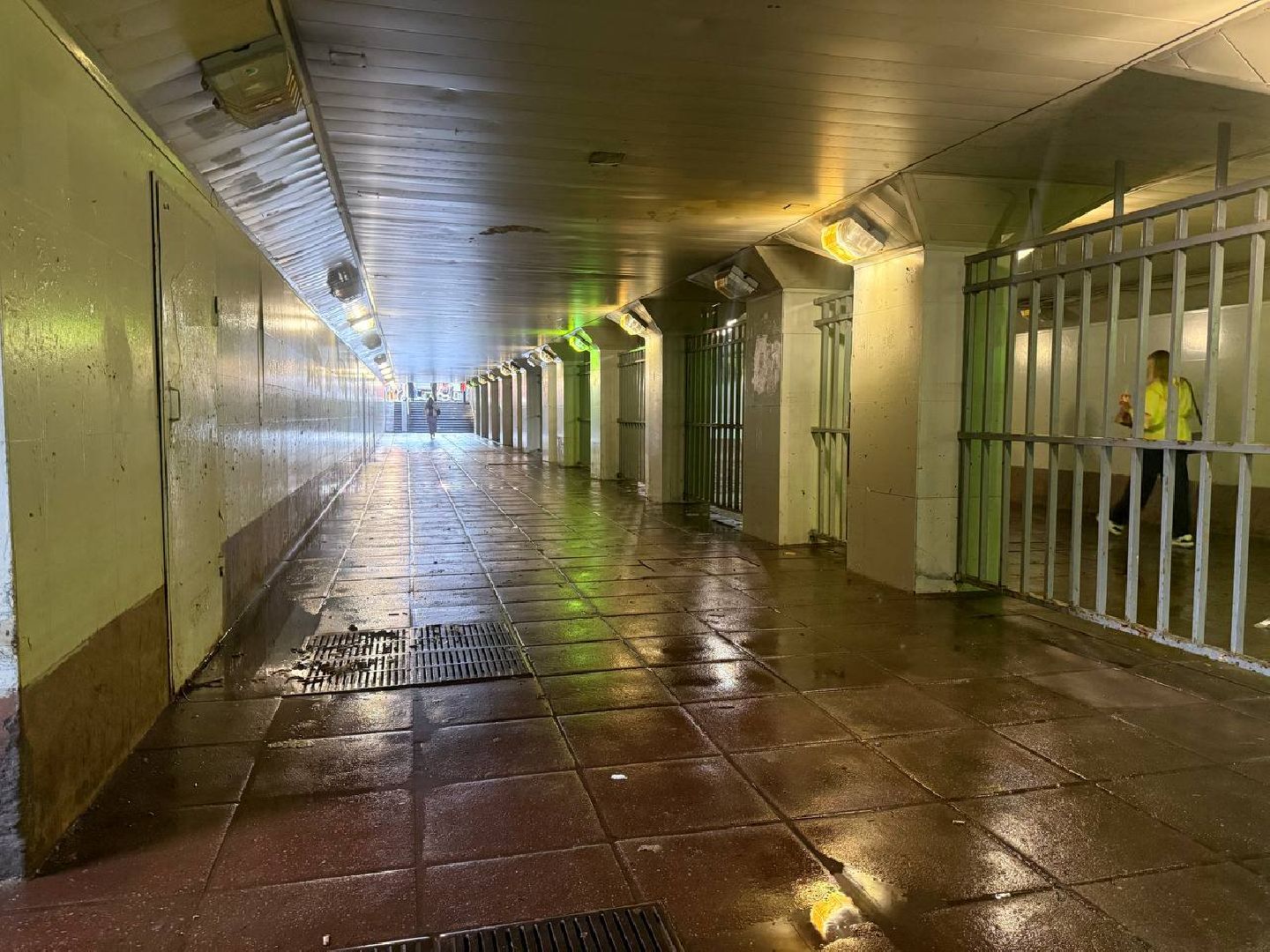 чп, красногорск, павшино, подземный пешеходный переход, мцд павшино, наводнение,