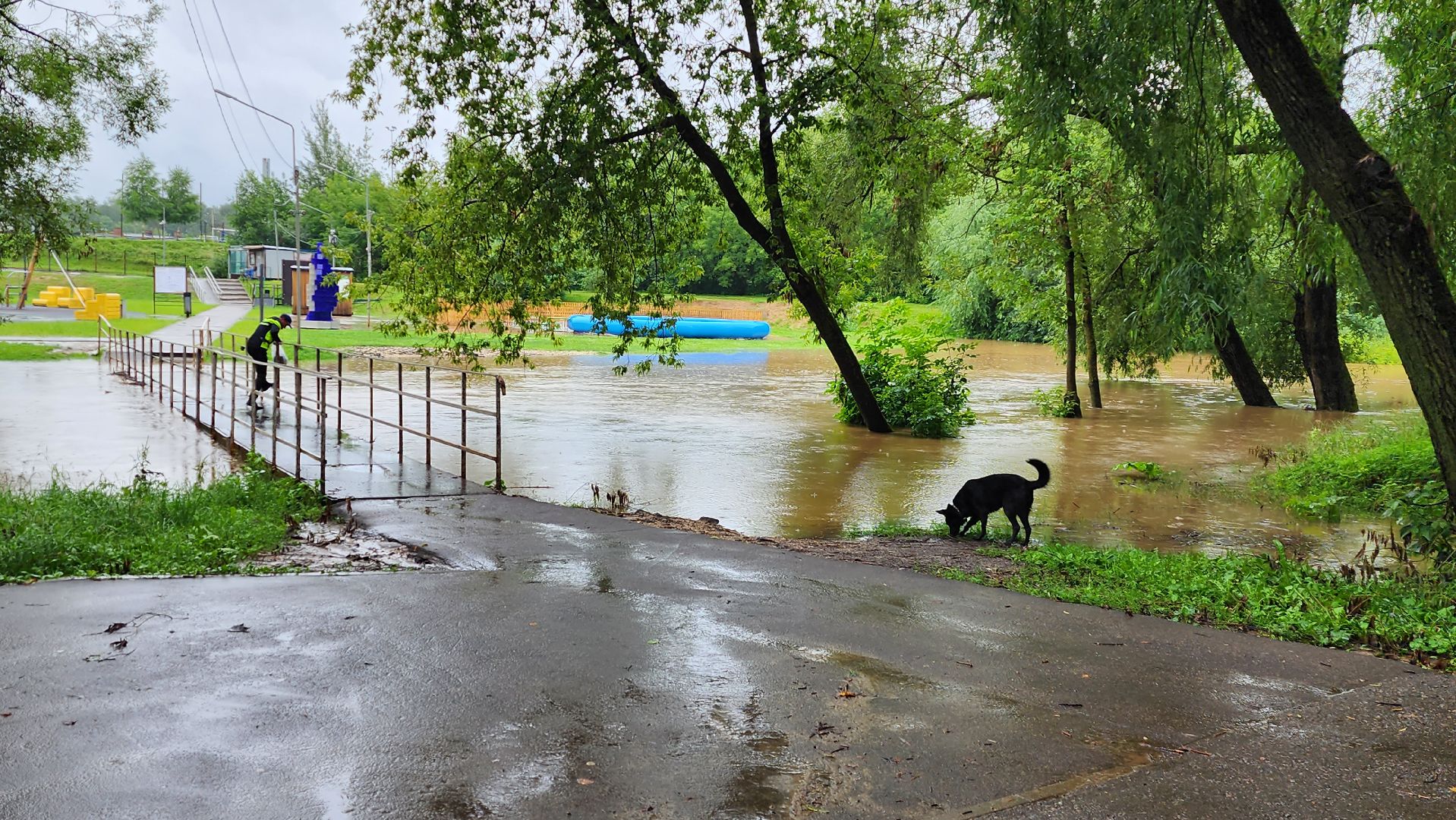 истра, парки, благоустройство,