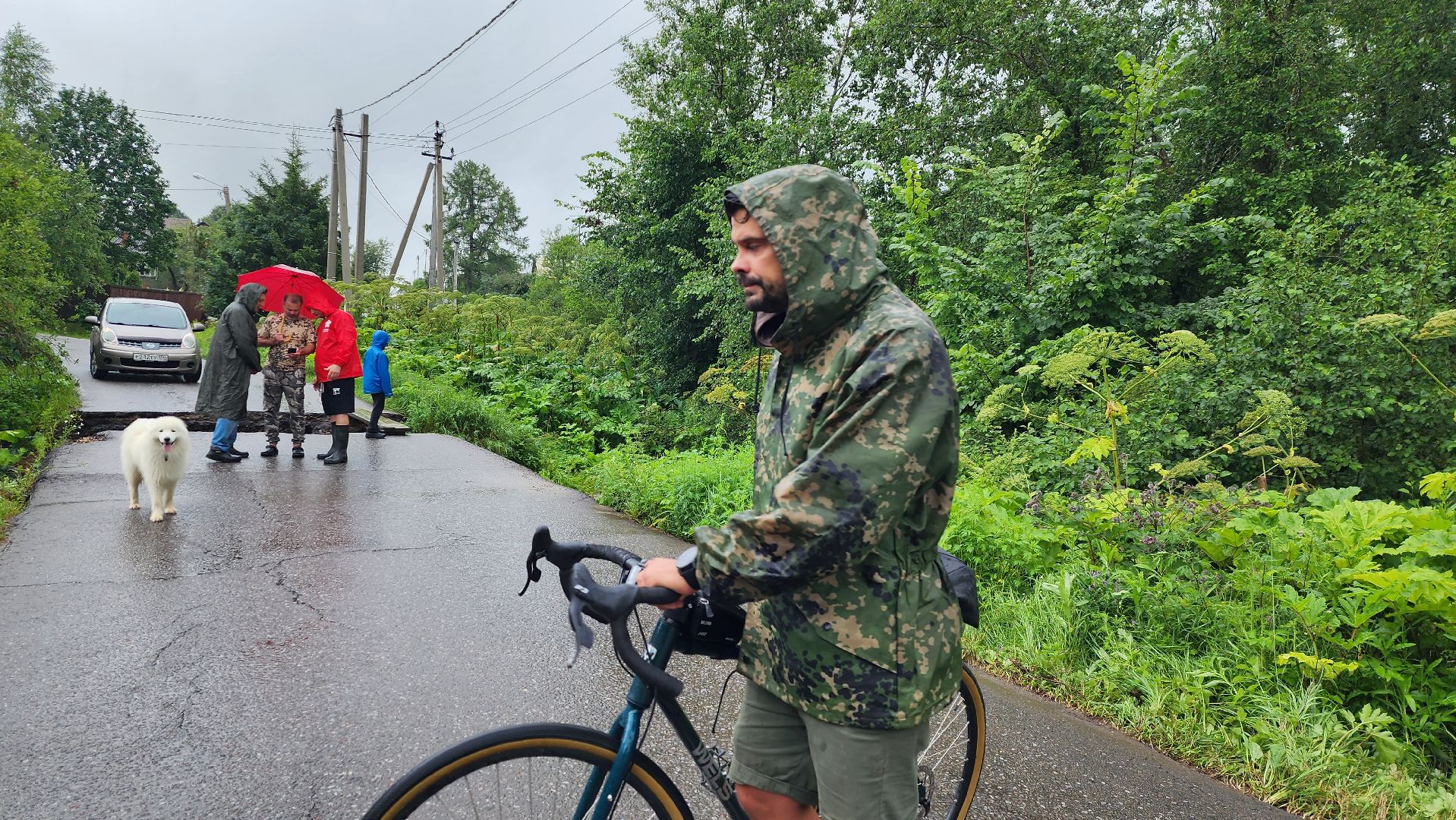 истра, дороги, ликвидация подтоплений,