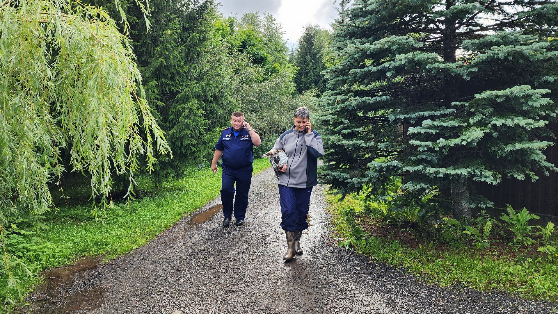 истра, мост, подтопление территории,