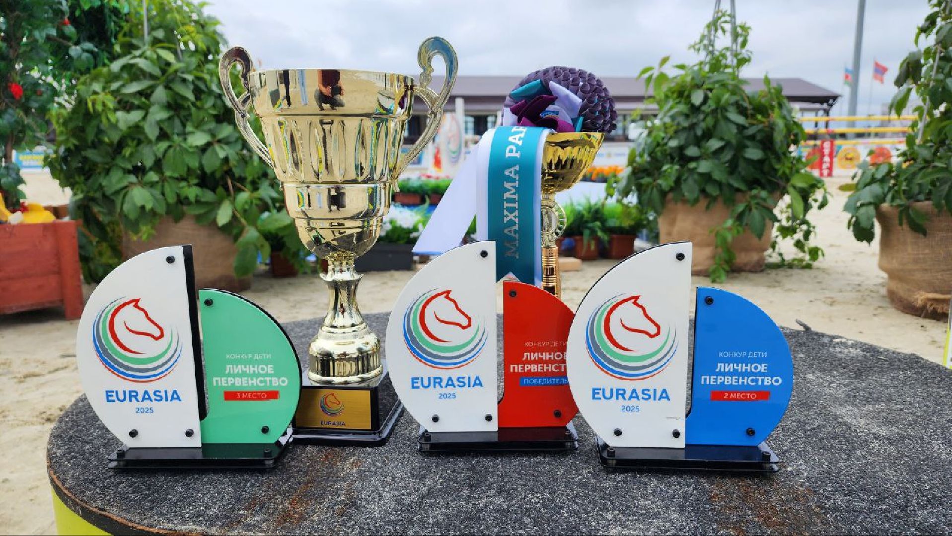 Дмитров, Максима Парк, Евразийские игры по конному спорту, Минспорта,