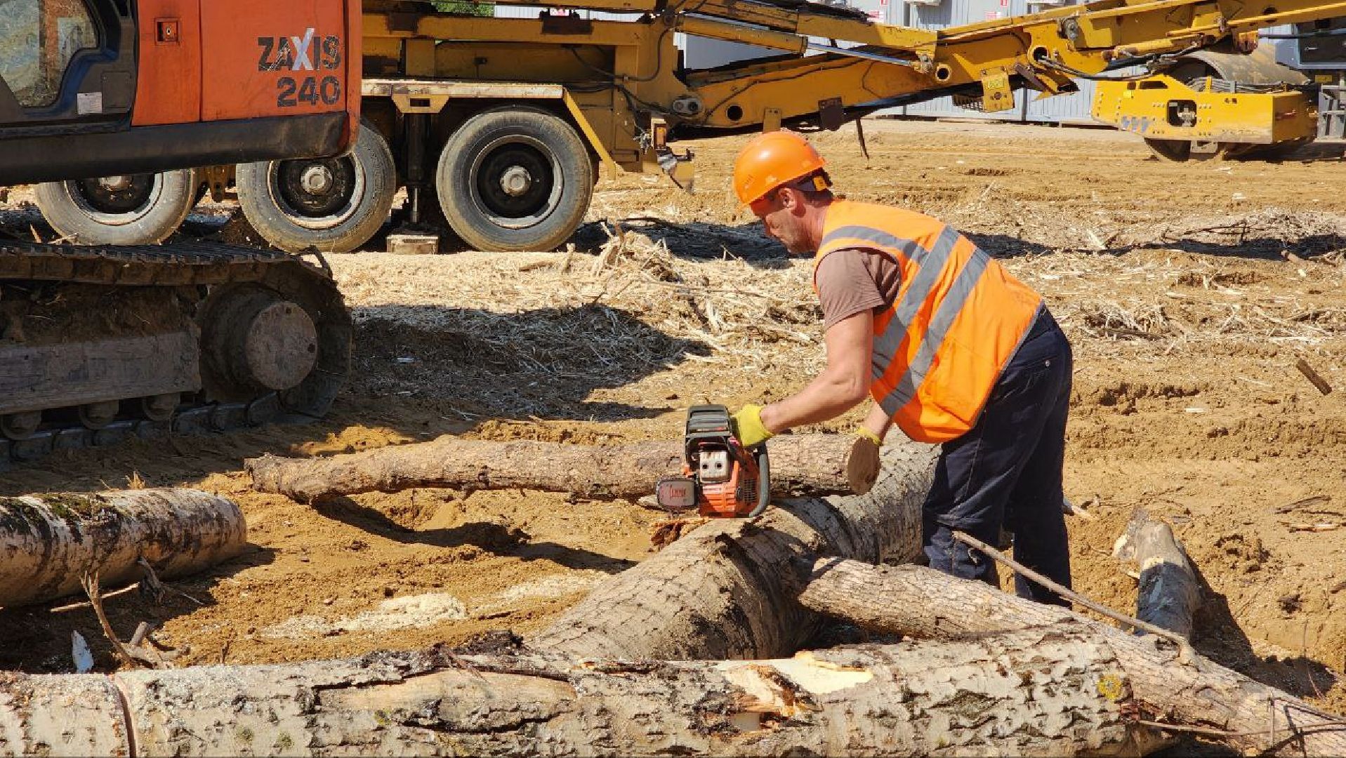 Дмитров, Рогачевский мост, Канал имени Москвы, Минтранс,