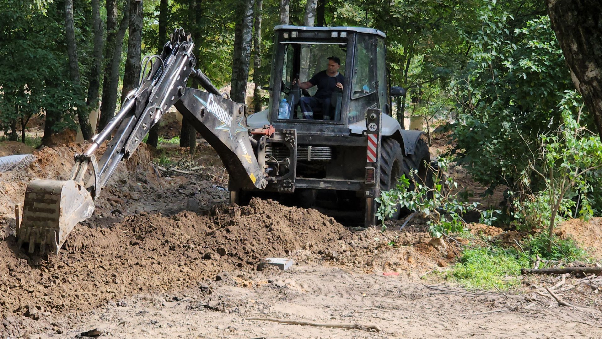серпухов, парк питомник, благоустройство парка, парки подмосковья,