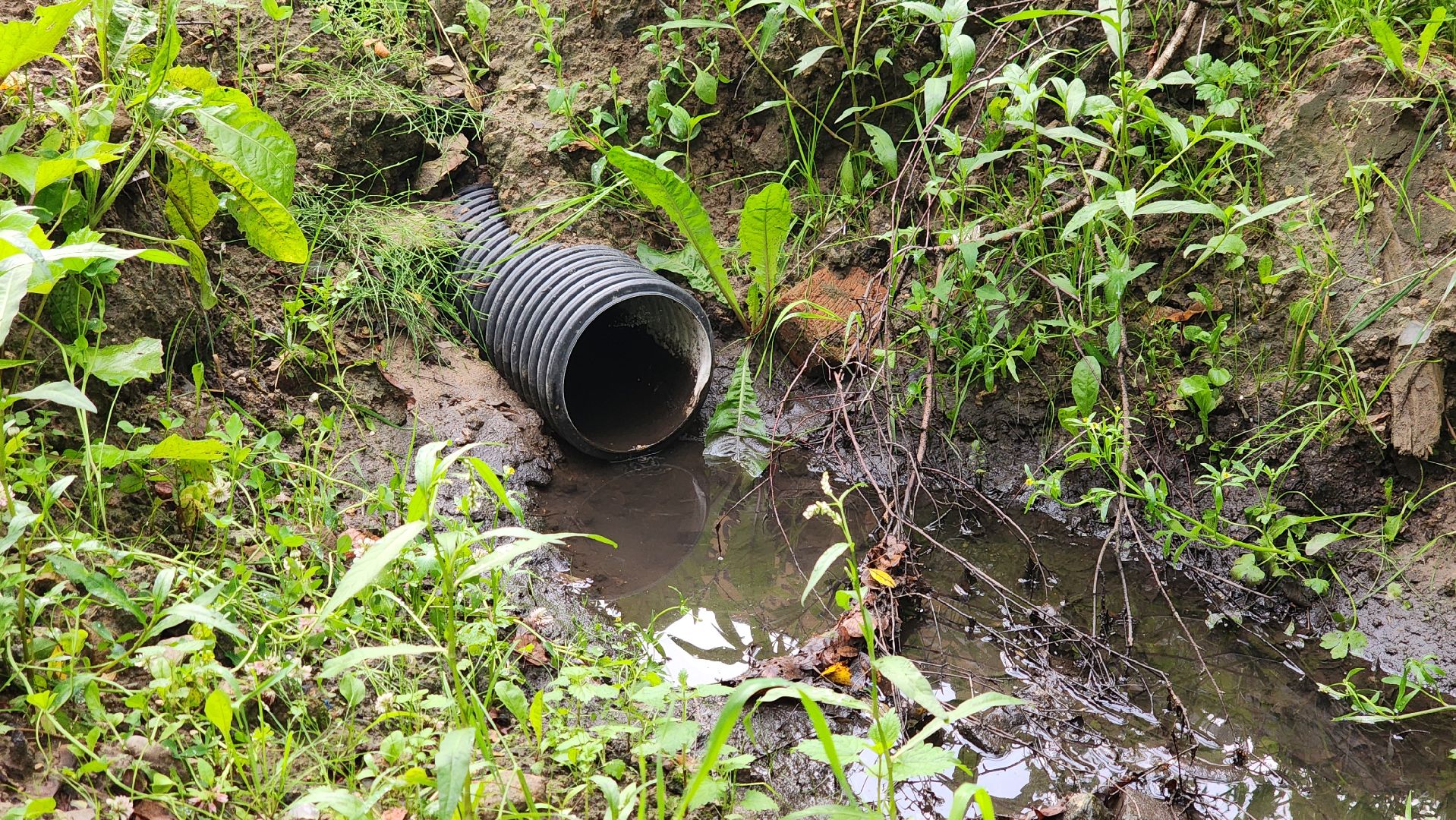 щёлково, подтопление, Устранение последствий ливня,