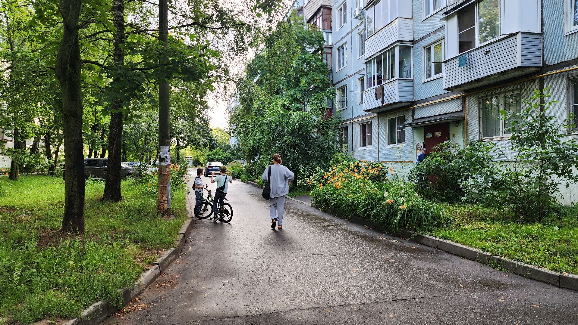 щёлково, подтопление, Устранение последствий ливня,