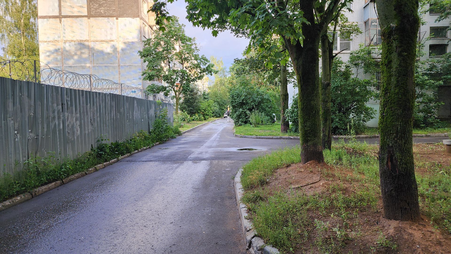 щёлково, подтопление, Устранение последствий ливня,