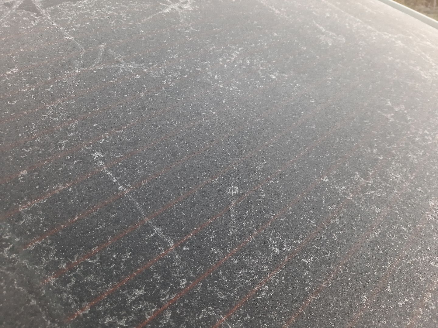 Шатура, Черусти, погода, заморозки, май, Черёмуховые холода