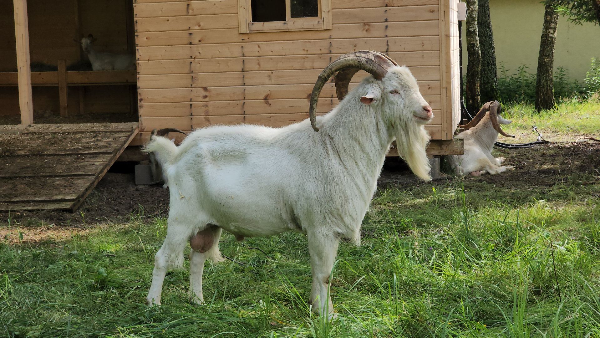 ступино, экология, люди, лето в подмосковье,