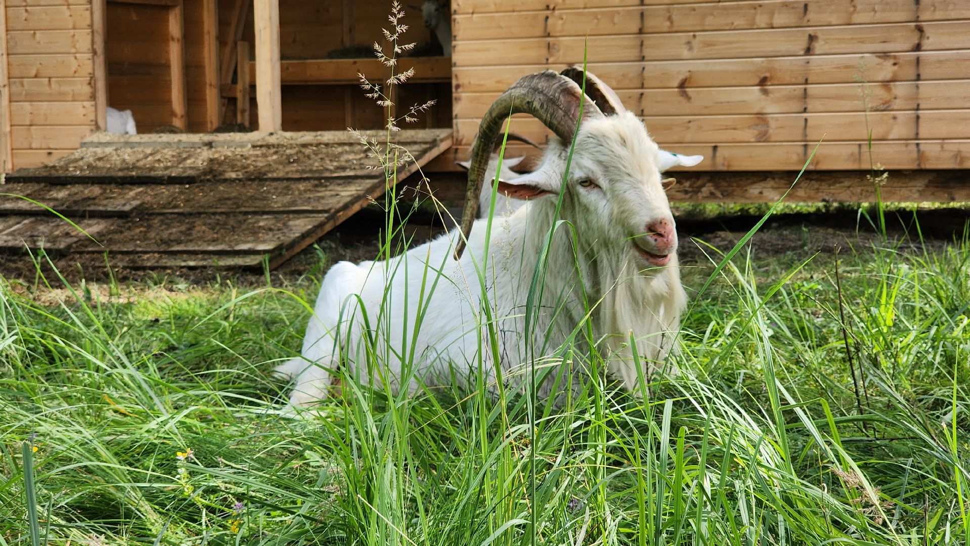 ступино, экология, люди, лето в подмосковье,