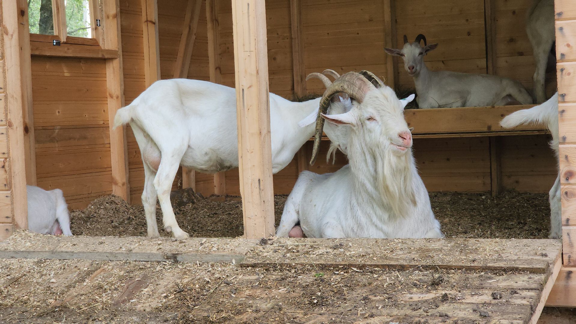ступино, экология, люди, лето в подмосковье,