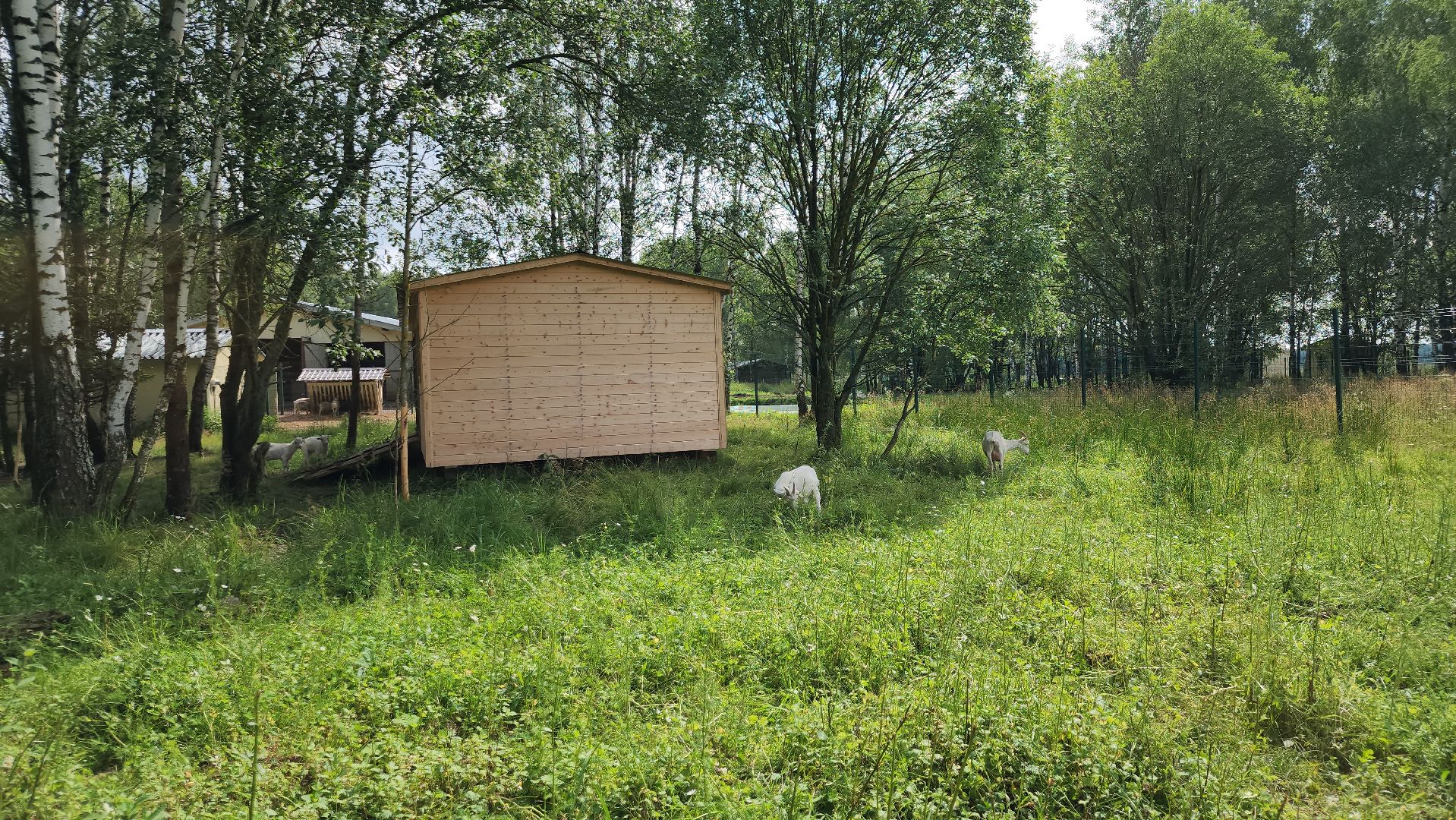 ступино, экология, люди, лето в подмосковье,