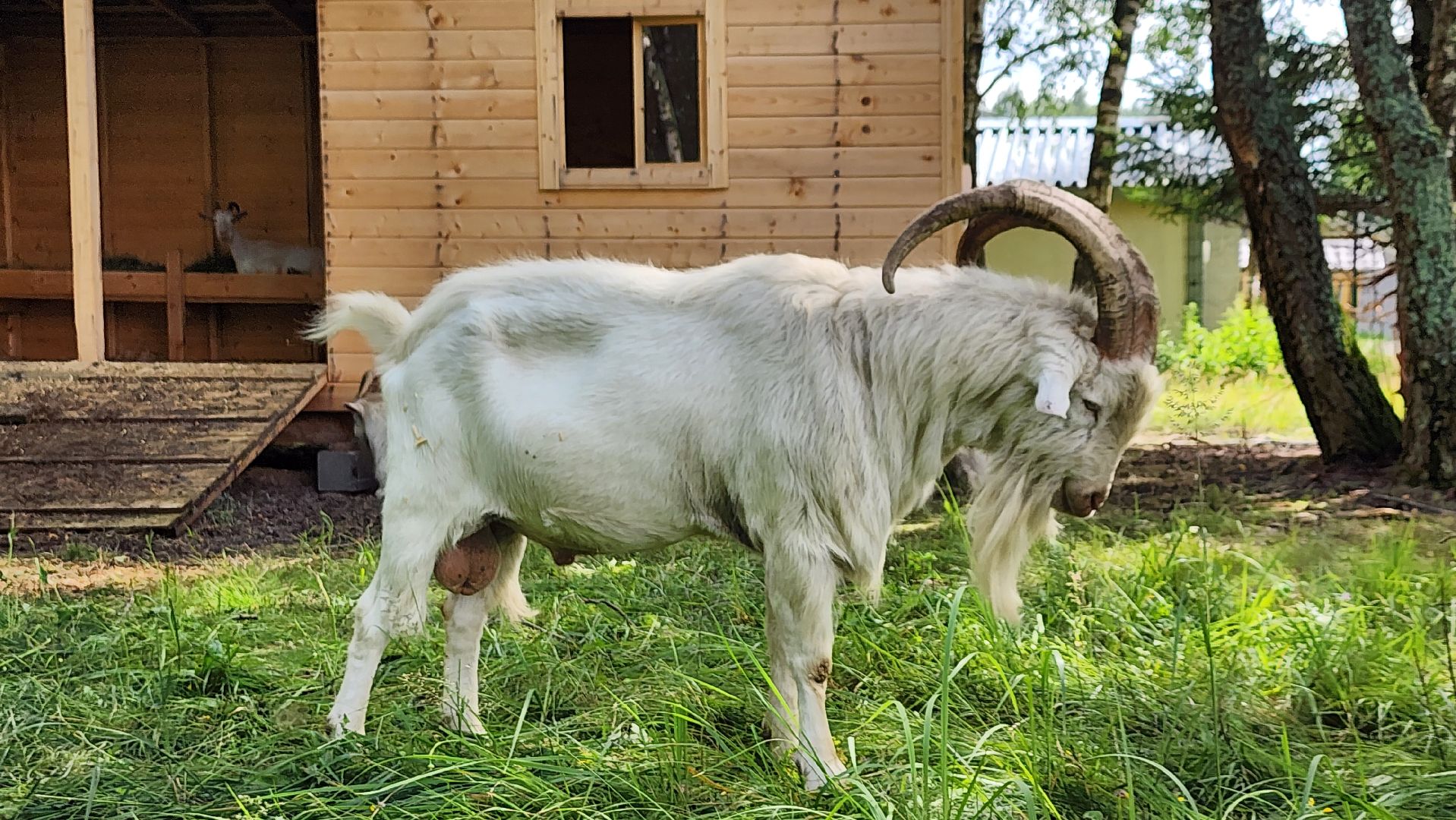 ступино, экология, люди, лето в подмосковье,