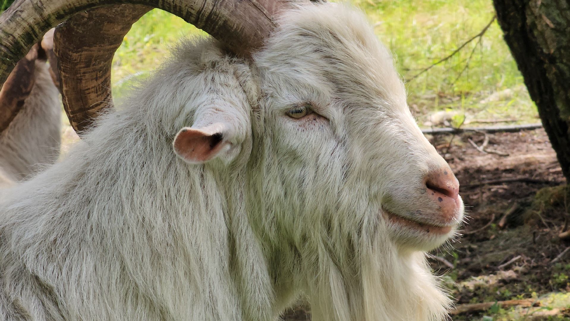 ступино, экология, люди, лето в подмосковье,