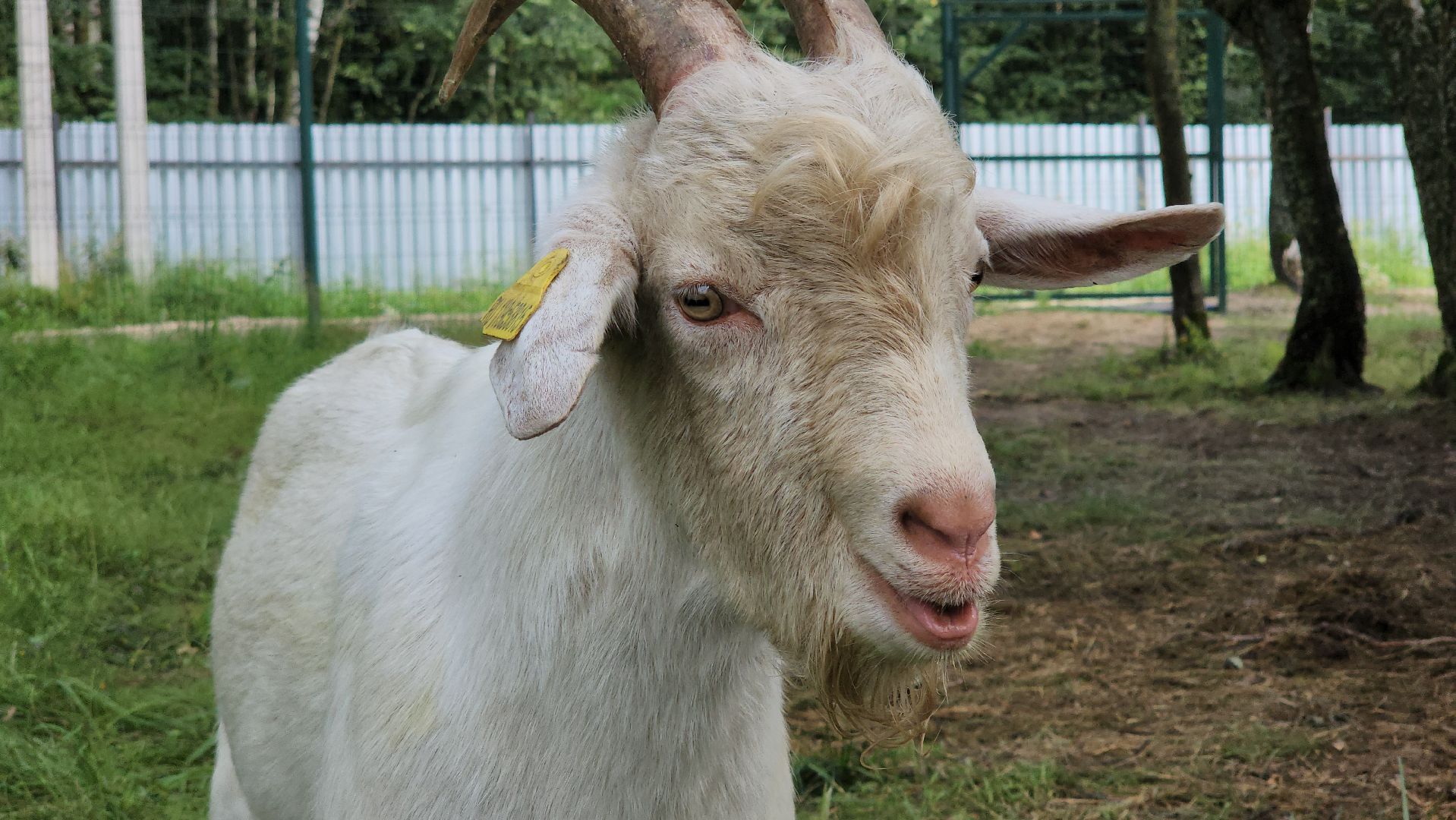 ступино, экология, люди, лето в подмосковье,