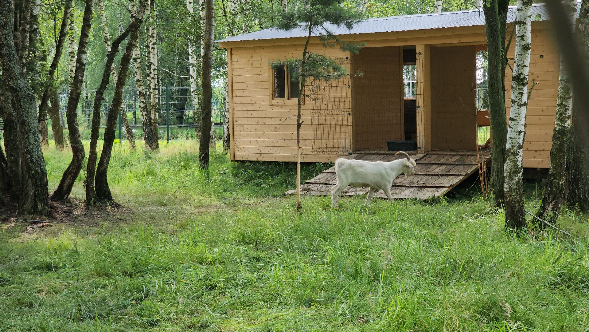 ступино, экология, люди, лето в подмосковье,