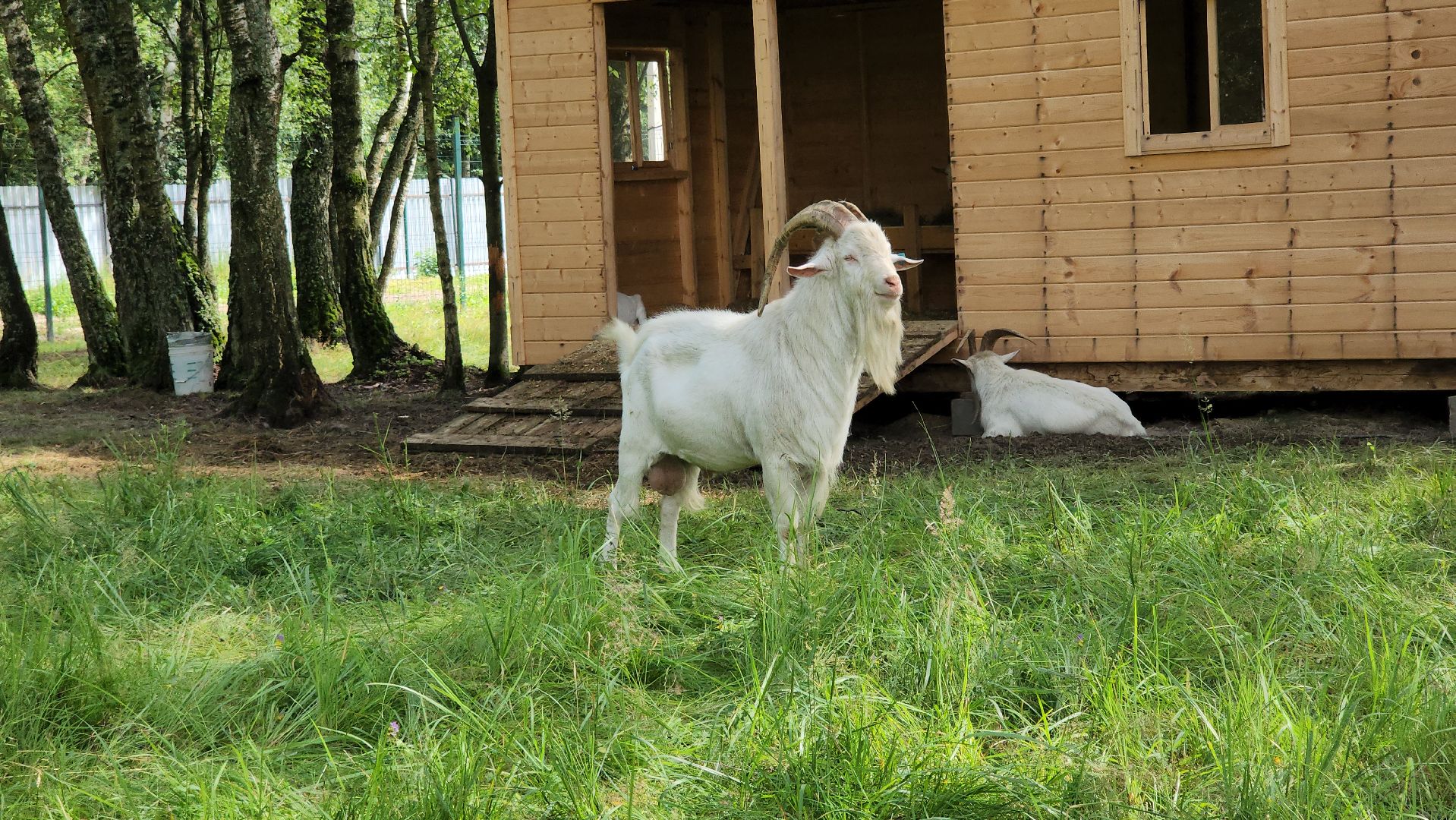 ступино, экология, люди, лето в подмосковье,