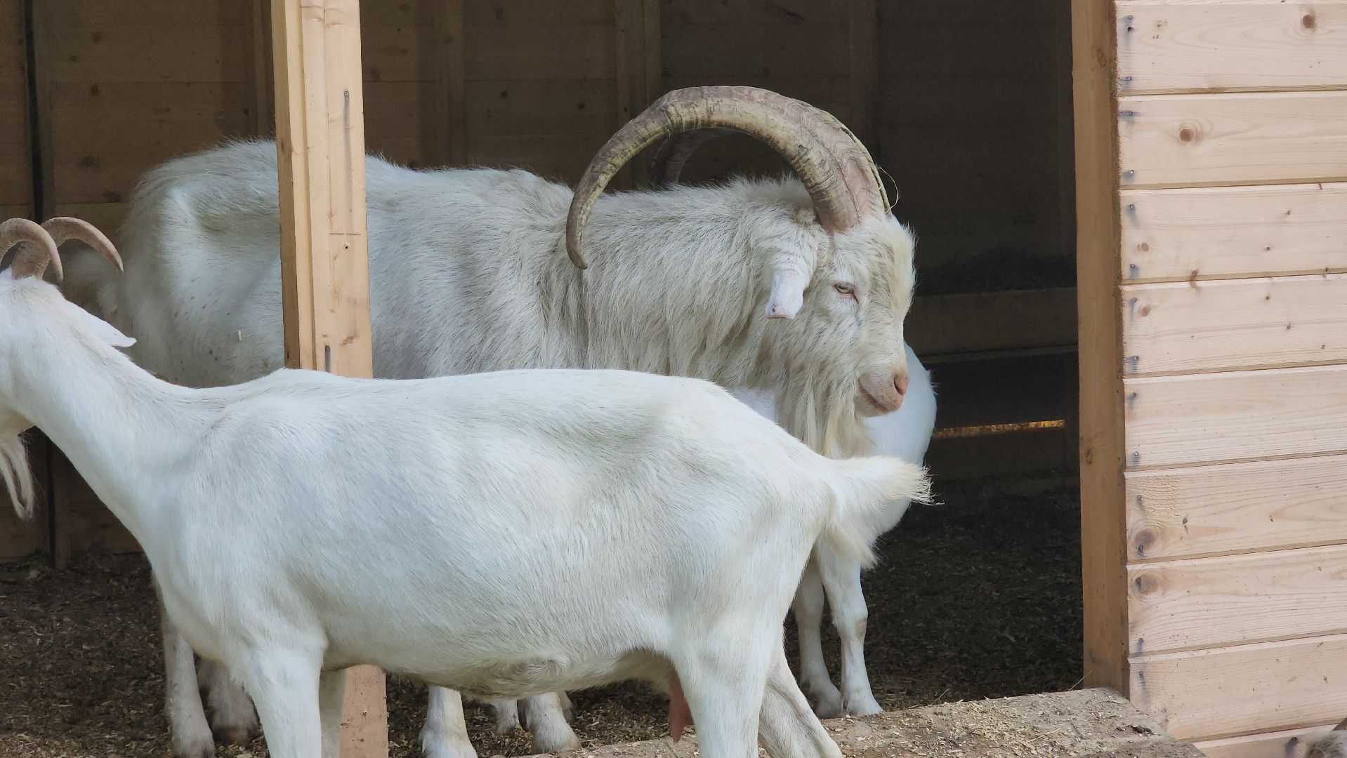 ступино, экология, люди, лето в подмосковье,