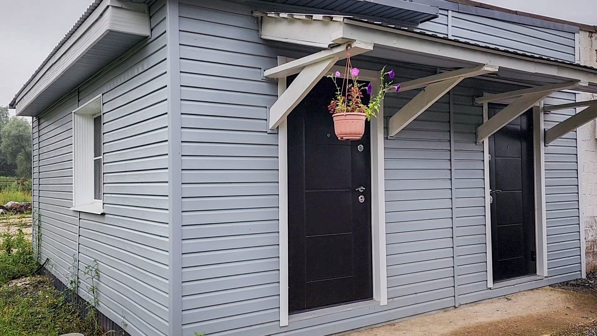 производство сыра, молочная ферма, голштинская порода коров,