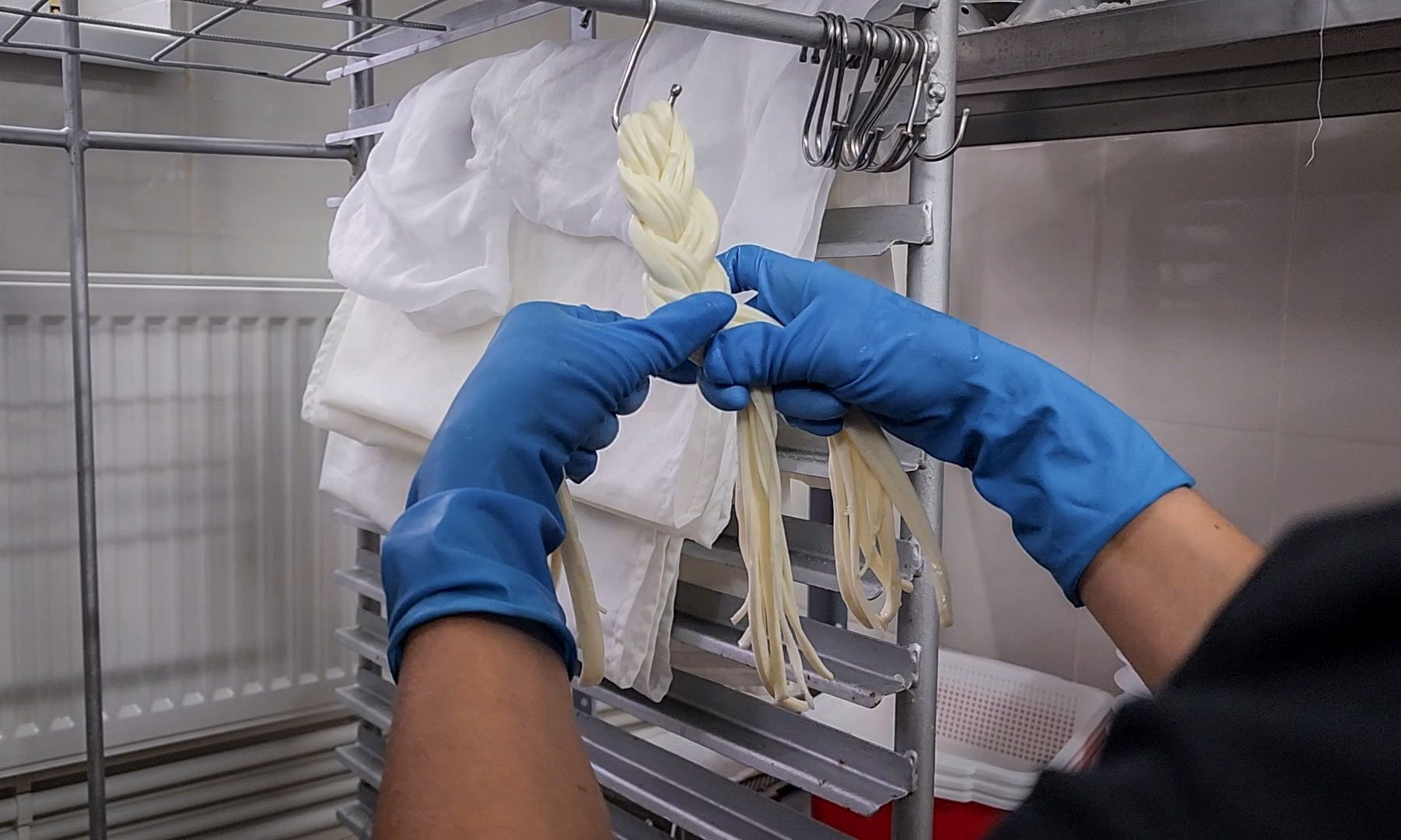 производство сыра, молочная ферма, голштинская порода коров,