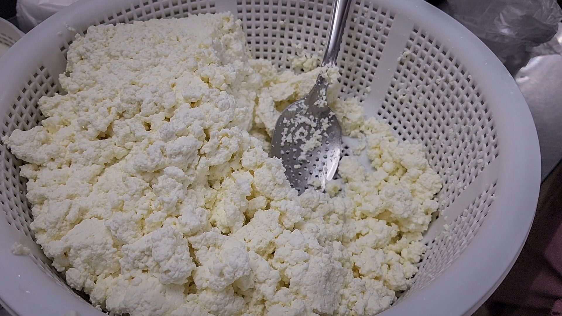 производство сыра, молочная ферма, голштинская порода коров,